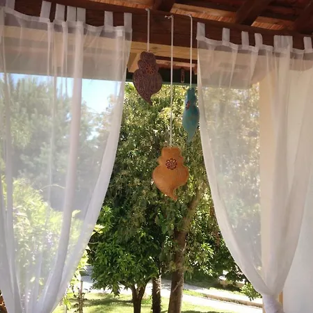 Quinta Do Guerra * Boldrarias