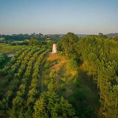 Quinta Do Guerra Casa de Férias Boldrarias