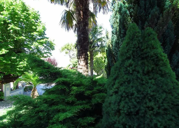 Quinta Do Guerra Boldrarias