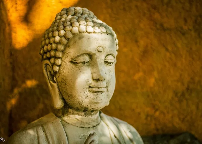 Quinta Do Guerra 別荘 *