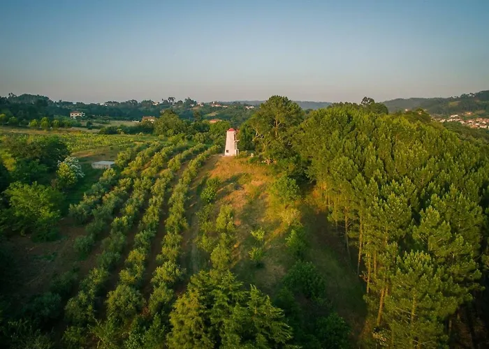 Quinta Do Guerra 別荘 Boldrarias