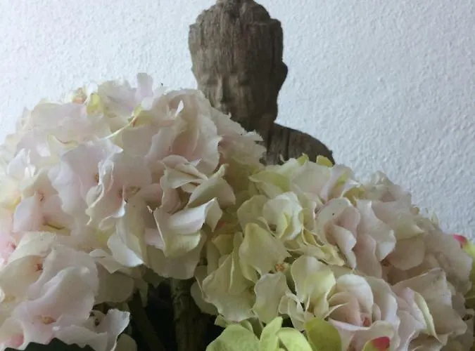 別荘 Quinta Do Guerra Boldrarias